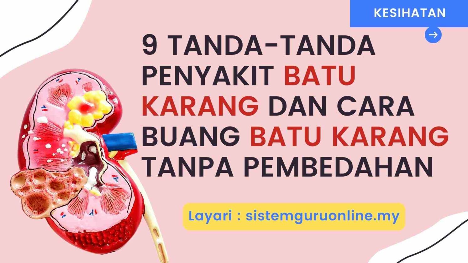 9 Tanda Tanda Penyakit Batu Karang Dan Cara Buang Batu Karang Tanpa