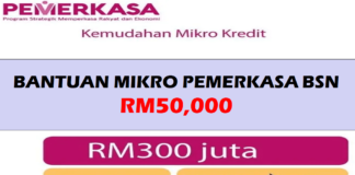 Bantuan Mikro Pemerkasa BSN RM50,000