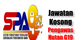 Jawatan Kosong Pengawas Hutan G19