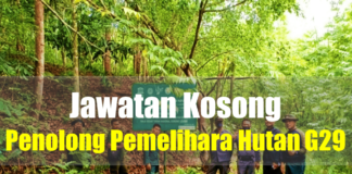 Jawatan Kosong Penolong Pemelihara Hutan G29