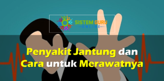 Penyakit Jantung dan Cara Untuk Merawatnya