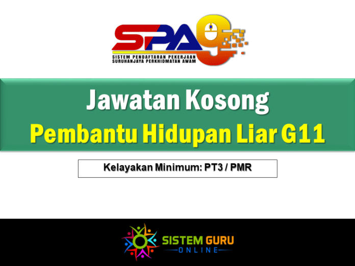 Jawatan Kosong Pembantu Hidupan Liar G11 Effective Jun 2021