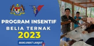 Program lnsentif Belia Ternak JPVNJ 2023