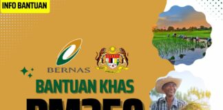 Bantuan Khas RM250 Bernas Bagi Tahun 2023