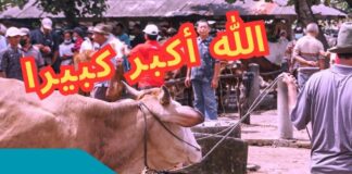 Tak Sangka Inilah Hikmah Tak Boleh Potong Kuku & Rambut Bagi Yang Nak Buat Korban dan