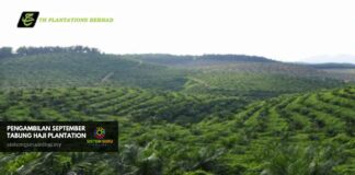 Pengambilan Jawatan Tabung Haji Plantation September Tahun 2023 Pengambilan Jawatan Tabung Haji Plantation
