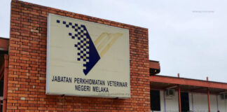 Jabatan Perkhidmatan Veterinar