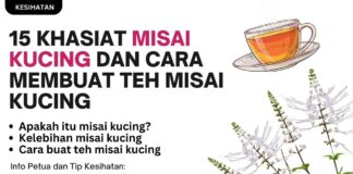 15 Khasiat Misai Kucing dan Cara Membuat Teh Misai Kucing