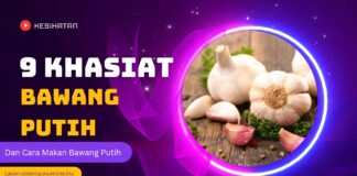 9 Khasiat Bawang Putih dan Cara Makan Bawang Putih 9 Khasiat Bawang Putih dan Cara Makan Bawang Putih