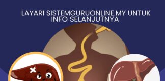 Fungsi Hati, 4 Tanda Penyakit Hati dan 3 Makanan Yang Harus Dihindari Untuk Penyakit Hati Health Flyer