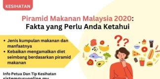 Piramid Makanan Malaysia 2020: Fakta yang Perlu Anda Ketahui piramid-makanan