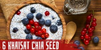 6 Khasiat Chia Seed, Cara Minum Chia Seed untuk Kurus Berserta Pantang Larangnya!