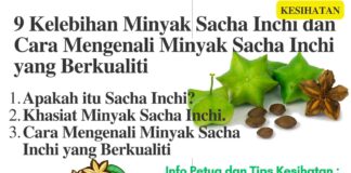 9 Kelebihan Minyak Sacha Inchi dan Cara Mengenali Minyak Sacha Inchi yang Berkualiti