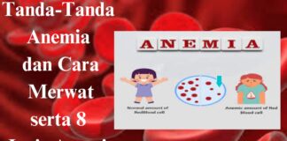 Tanda-Tanda Anemia dan Cara Merawat serta 8 Jenis Anemia
