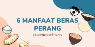 6 Khasiat Beras Perang Template Beras Perang