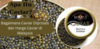 Apa Itu Caviar: Bagaimana Caviar Diproses dan Harga Caviar di Malaysia