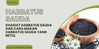 15 Khasiat Habbatus Sauda dan Cara Makan Habbatus Sauda Yang Betul 15 Khasiat Habbatus Sauda dan Cara Makan Habbatus Sauda Yang Betul