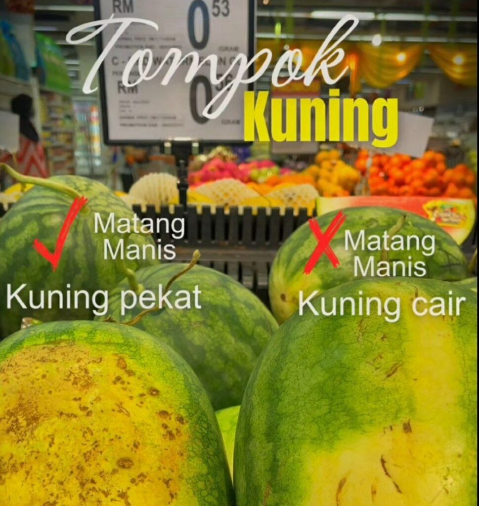 5 Khasiat Buah Tembikai Dan Cara Pilih Buah Tembikai Manis Sila Ikuti