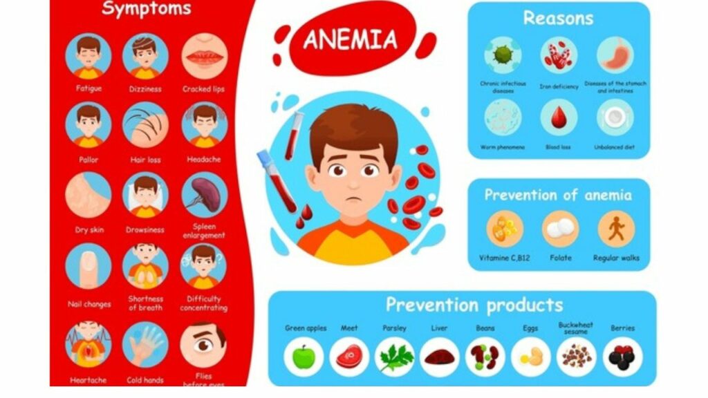 Tanda-Tanda Anemia Dan Cara Merawat Serta 8 Jenis Anemia