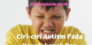 Ciri-ciri Autisme Pada Kanak-kanak Dan Orang Dewasa artikel autisme