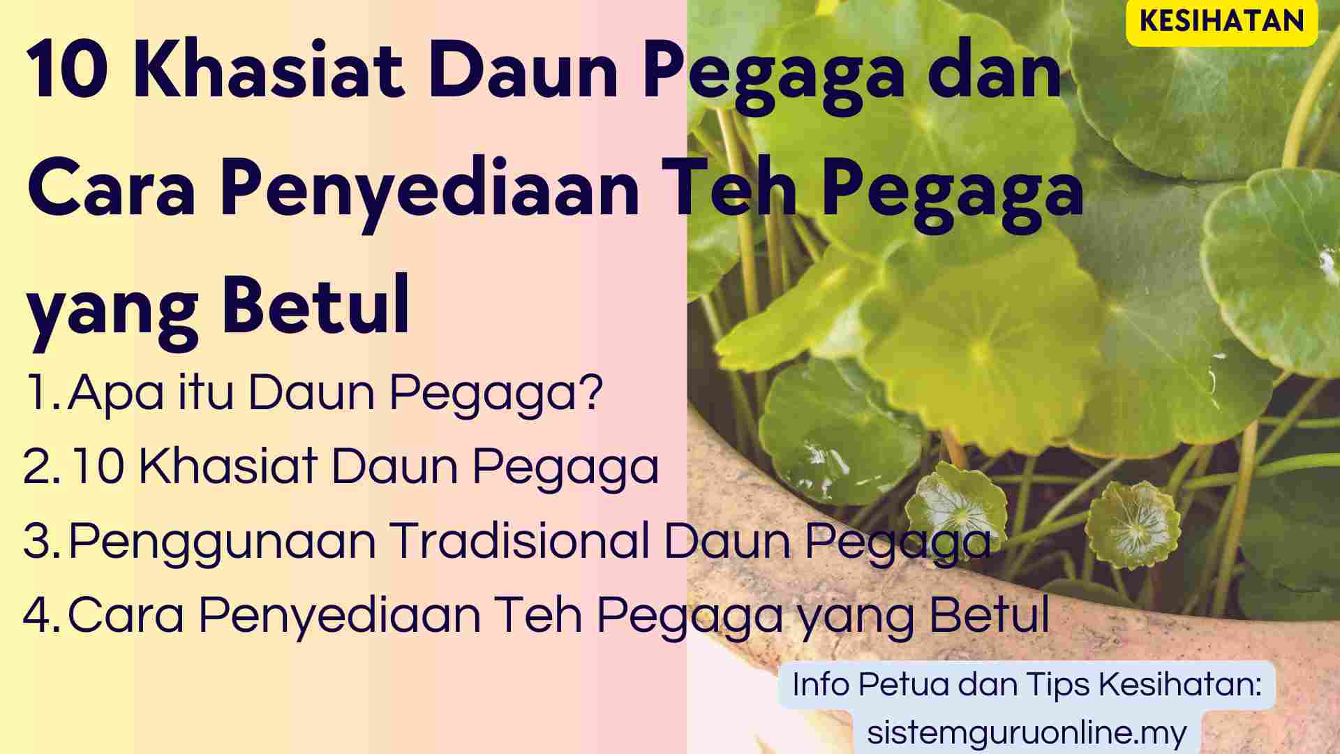 10 Khasiat Daun Pegaga Untuk Kesihatan Dan Cara Penyediaan Teh Pegaga