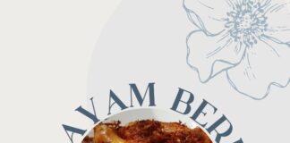Himpunan Resepi Ayam Goreng Berempah Yang Ringkas dan Sedap ayam template
