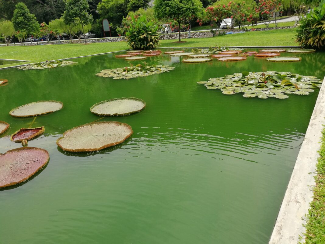 Public Holiday Penang 2024 Dan Lokasi Pelancongan Di Penang