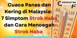 Cuaca Panas dan Kering: 7 Simptom Strok Haba dan Cara Mencegah Strok Haba
