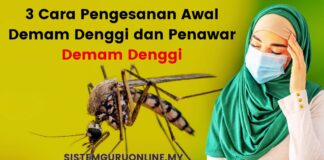 3 Cara Pengesanan Awal Demam Denggi dan Penawar Demam Denggi