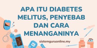 Apa Itu Diabetes Melitus, Penyebab dan Cara Menanganinya diabetes melitus