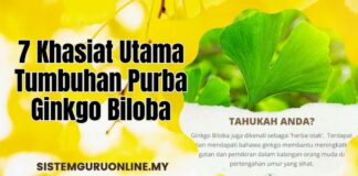 7 Khasiat Utama Ginkgo Biloba Sebagai Tumbuhan Purba untuk Kesihatan