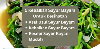 5 Kebaikan Sayur Bayam Untuk Kesihatan sayur bayam