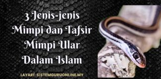 3 Jenis-jenis Mimpi dan Tafsir Mimpi Ular Dalam Islam
