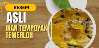 Resepi Asli Ikan Patin Masak Tempoyak