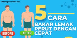 5 Cara Bakar Lemak Perut Dengan Mudah