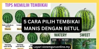 5 Cara Pilih Tembikai Manis Dengan Betul 5 Cara Pilih Tembikai Manis Dengan Betul