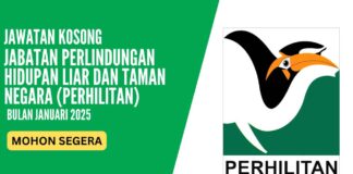 Pengambilan Jawatan PERHILITAN Januari 2025